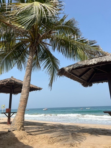 Елизавета, автор отзыва
