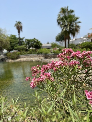 Елизавета, автор отзыва
