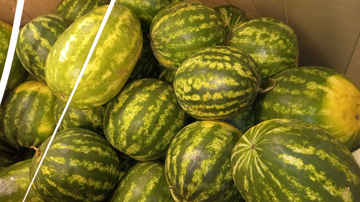 Арбузы