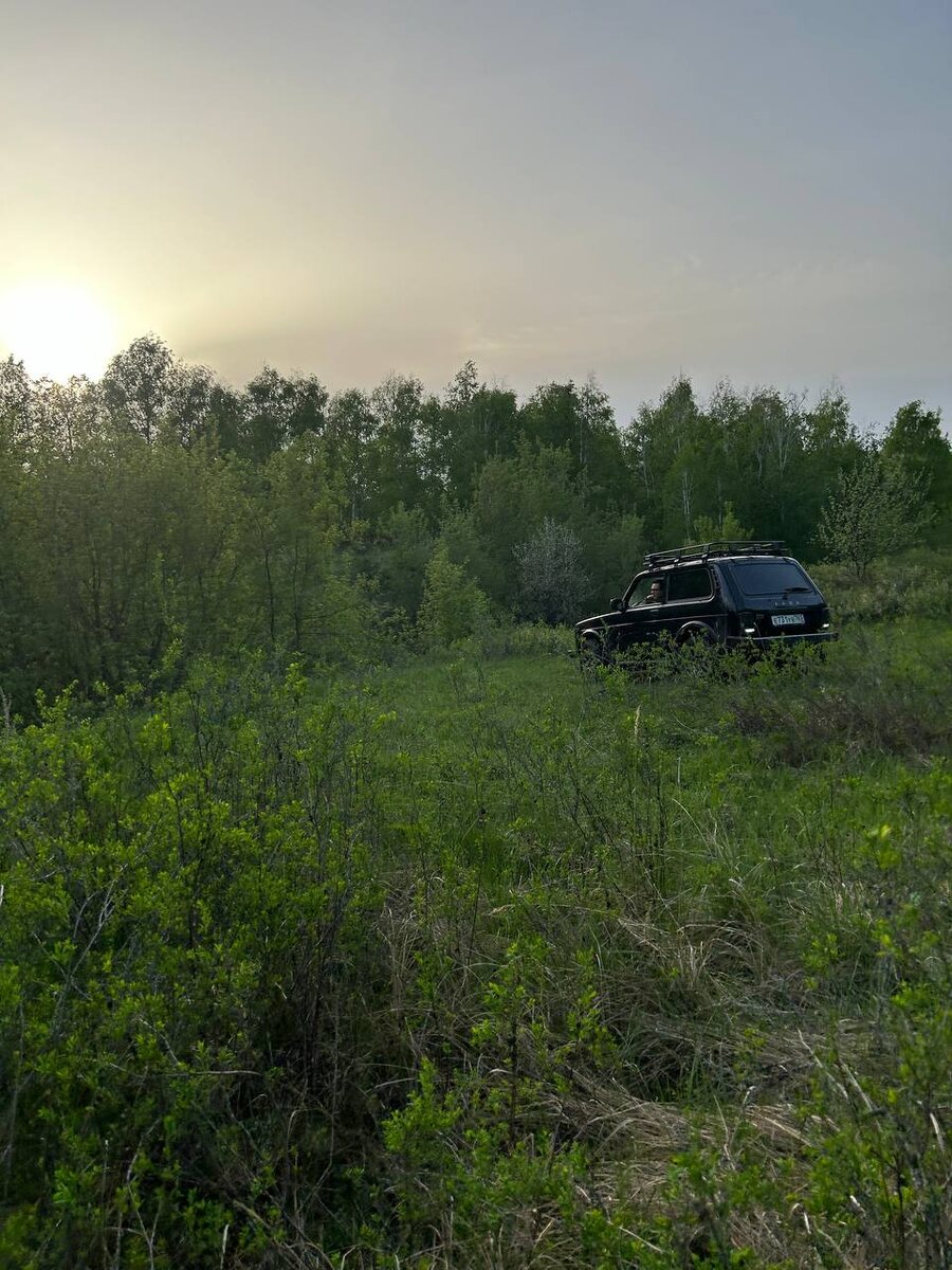    Фото: архив progorod