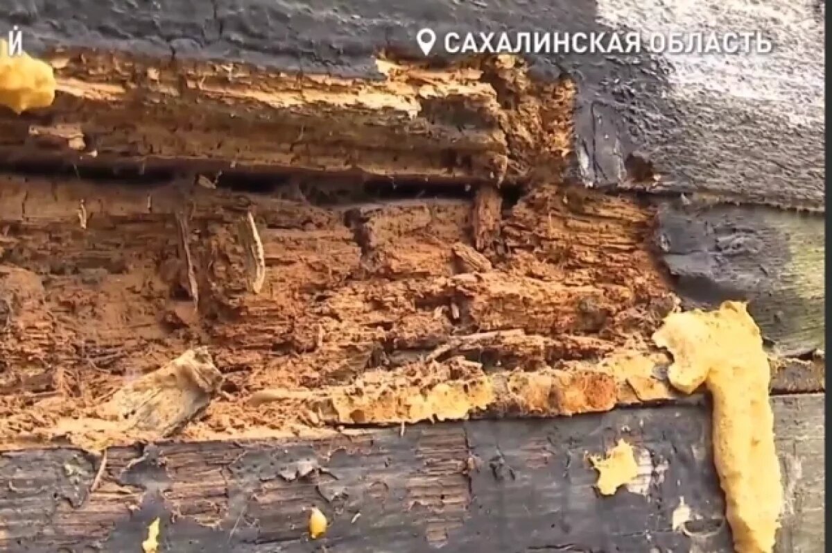    Инвалид из Южно-Сахалинска вынужден жить в прогнившем доме