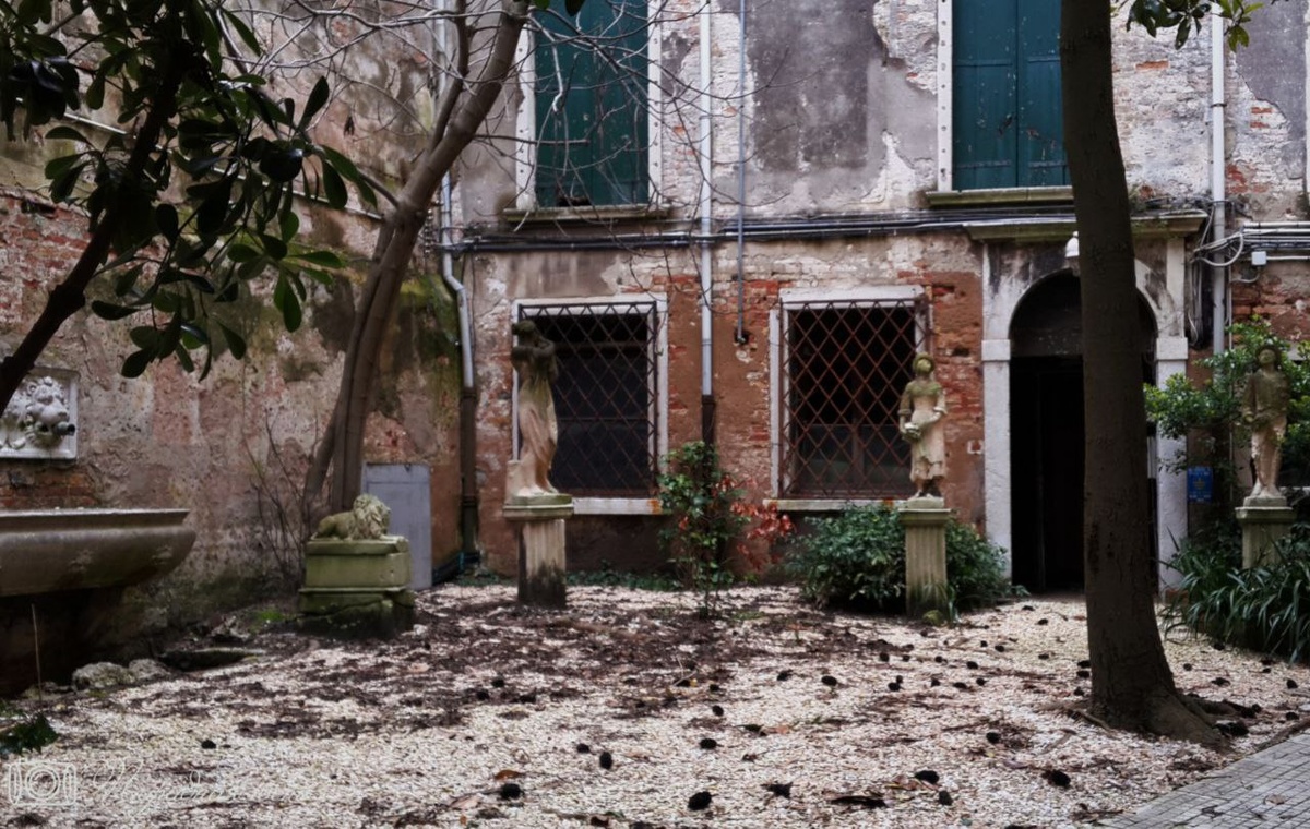 Со стороны дом казался заброшенным. Фото: Парадная гостья