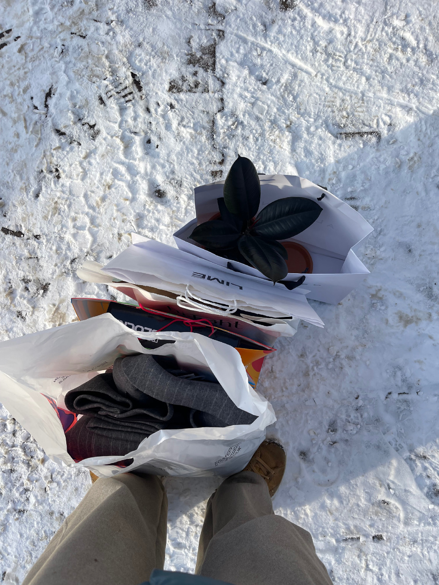 Начала закалять цветочек прямо зимой!