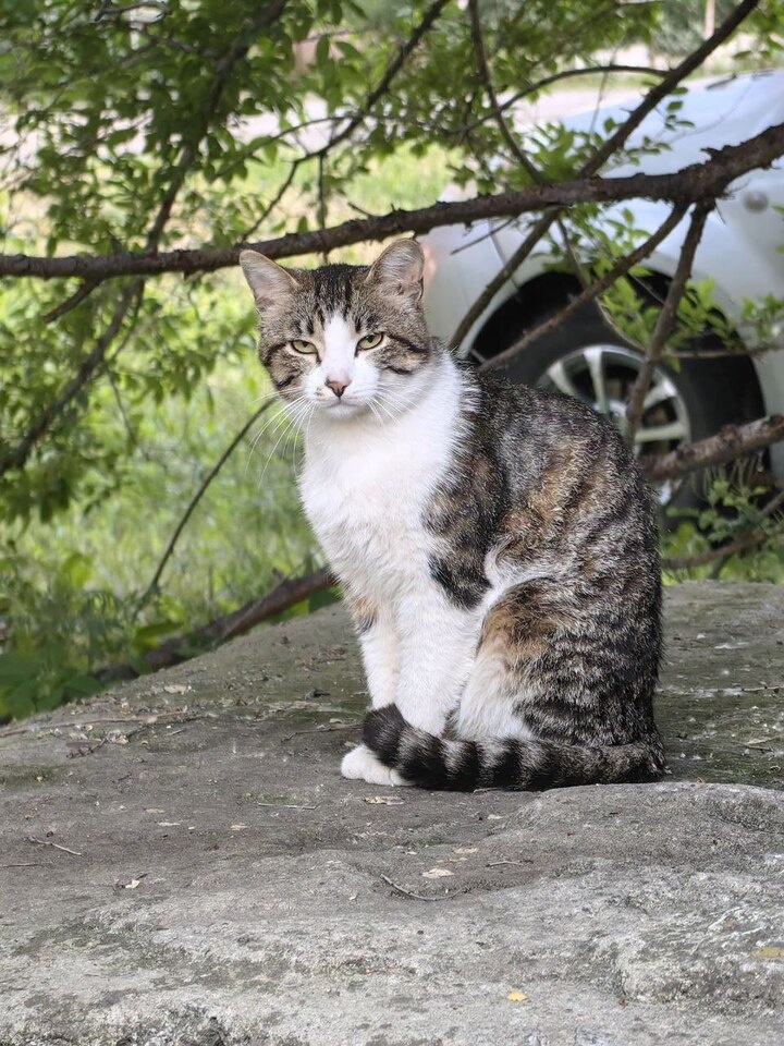   Ольга Григорьева