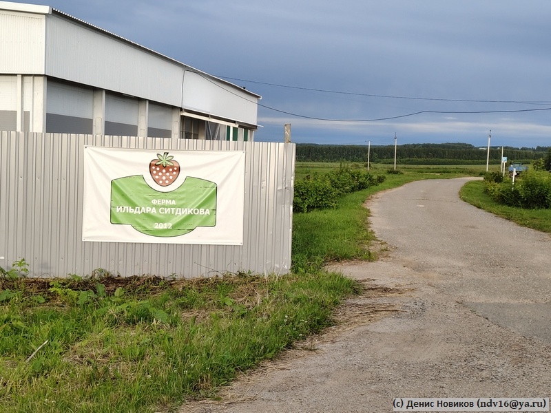 Ферма Ильдара Ситдикова в Зеленодольском районе Татарстана