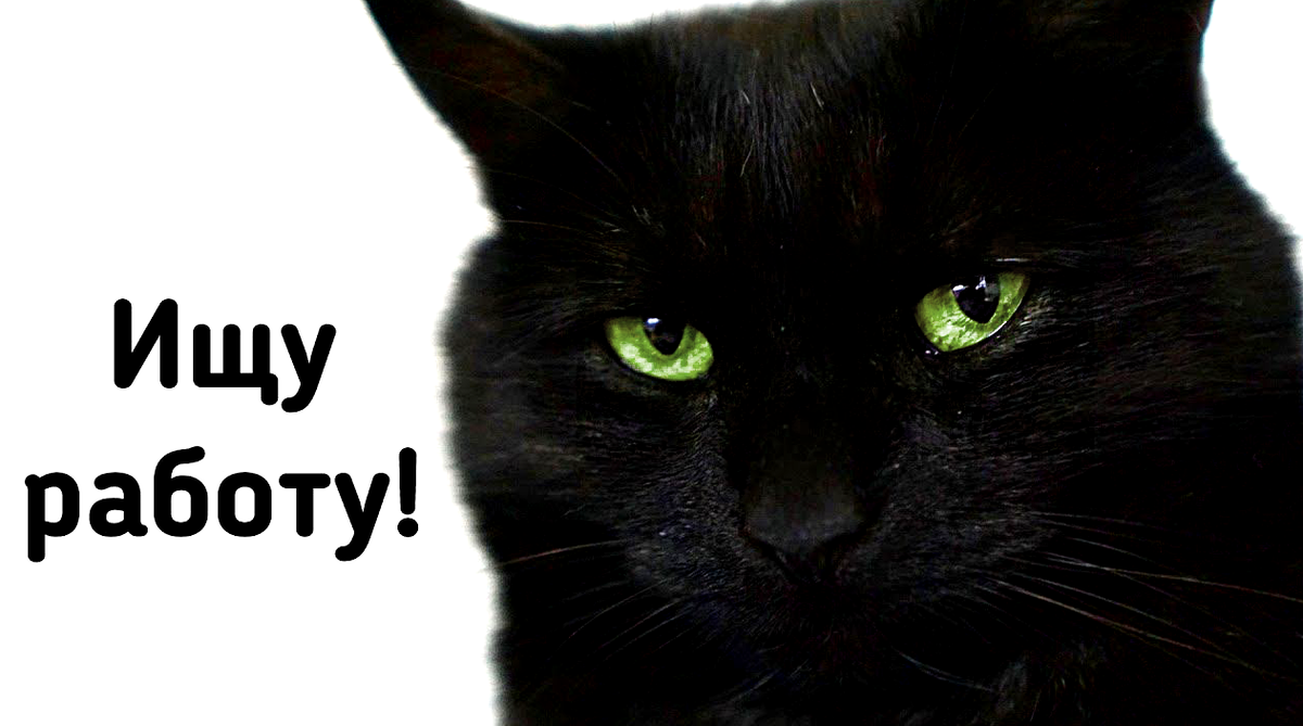 из интернета