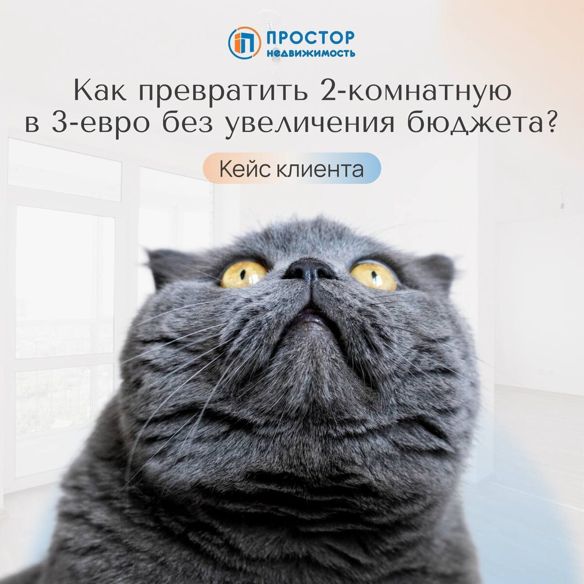 Купили с клиентами квартиру большей площади, не выходя за рамки бюджета — АН «Простор»