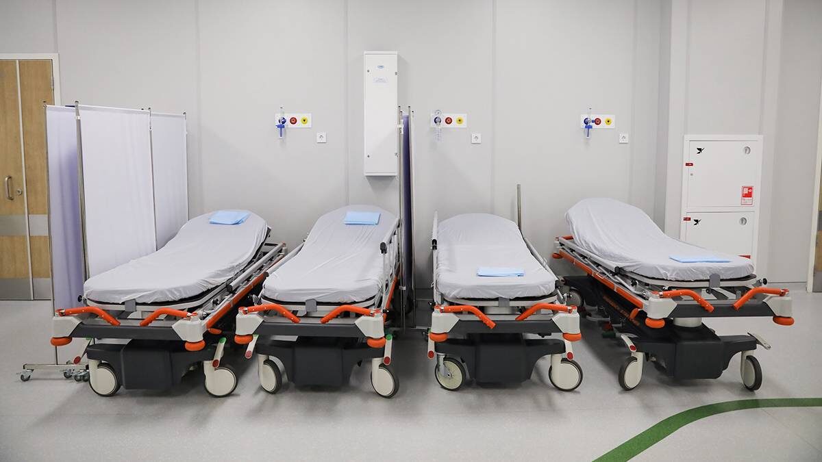    Фото: Софья Сандурская / АГН Москва