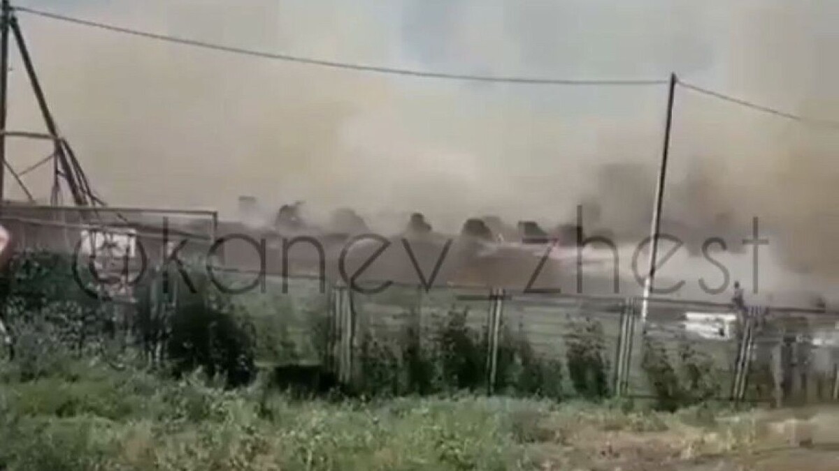    Фото: t.me/kanev_zhest