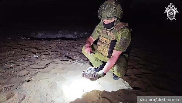     Фото: vk.com/sledcomru   
 Текст: Анастасия Куликова