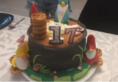 Даже фото нормального нет. Скриншот с видео.