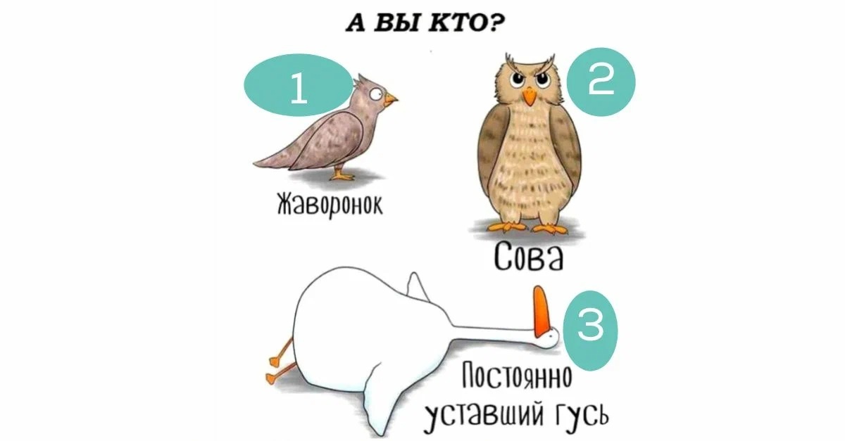 Картинка взята на просторах интернета! А ты кто с утра?))))