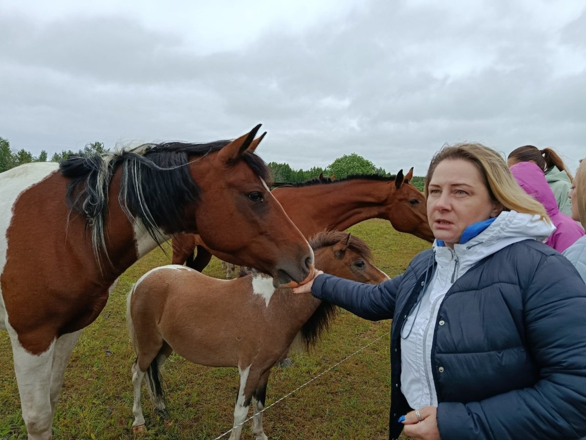    Фото: Минсельхоз Карелии
