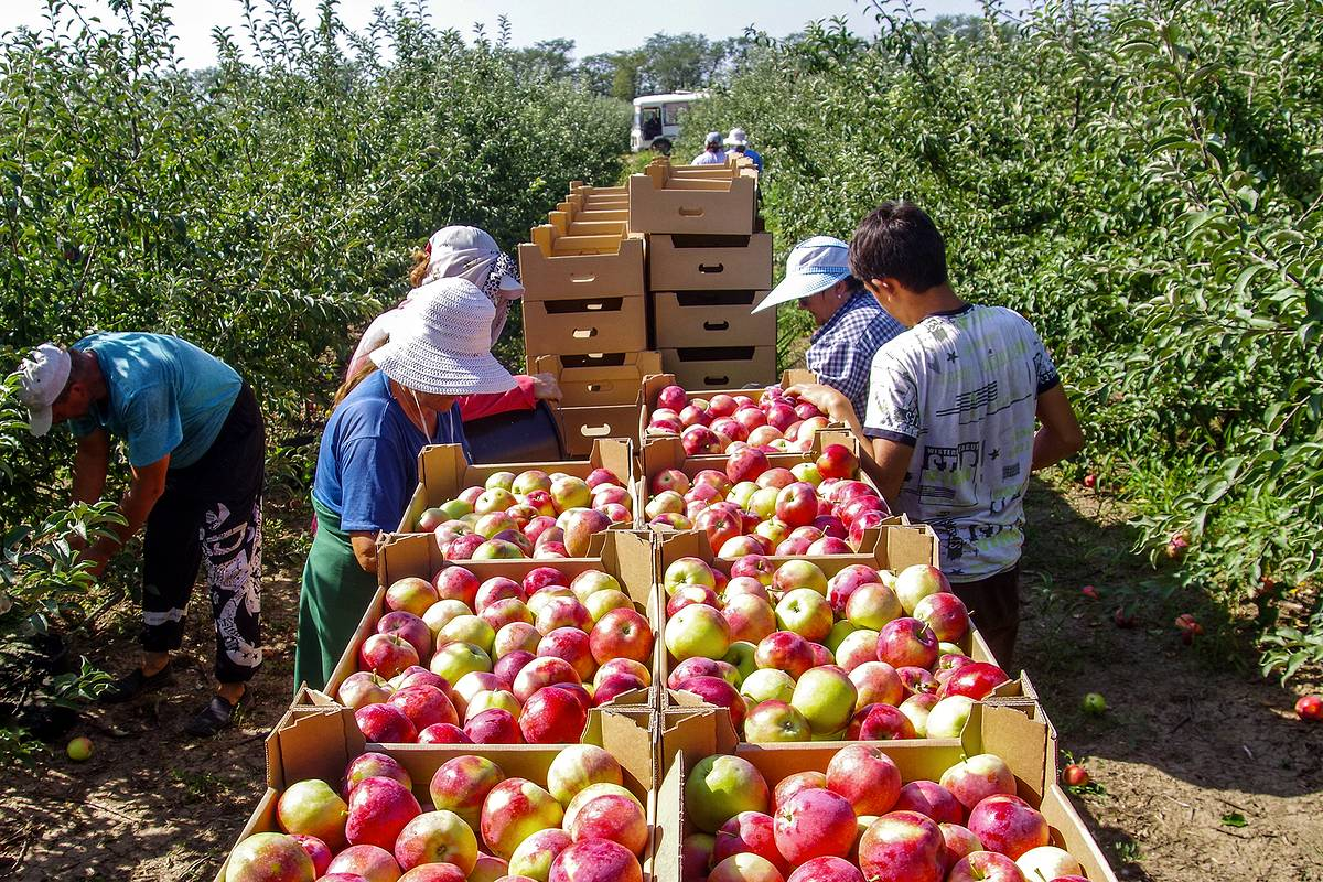 Фото: Иван Губский/ТАСС