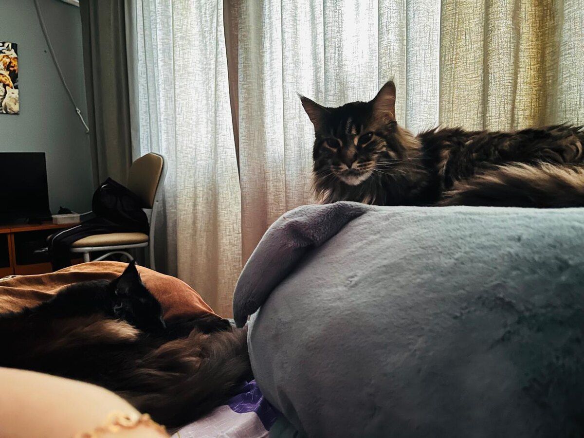 Фото автора 