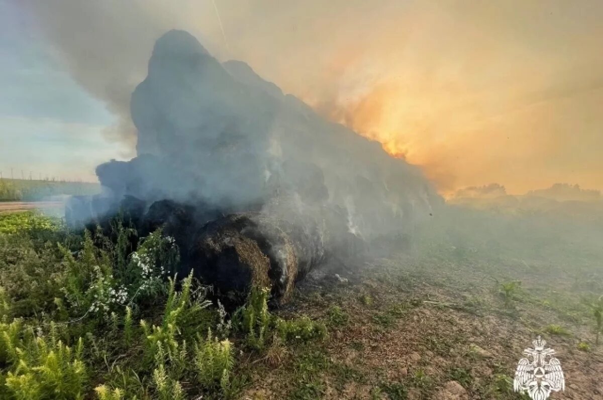    300 рулонов сена уничтожил пожар в Удмуртии