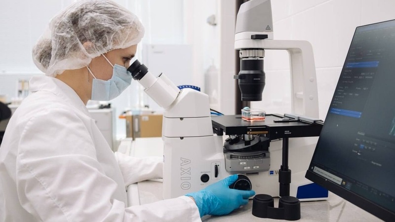    Учёные ставропольского вуза работают над ранозаживляющим средством Фото: СКФУ