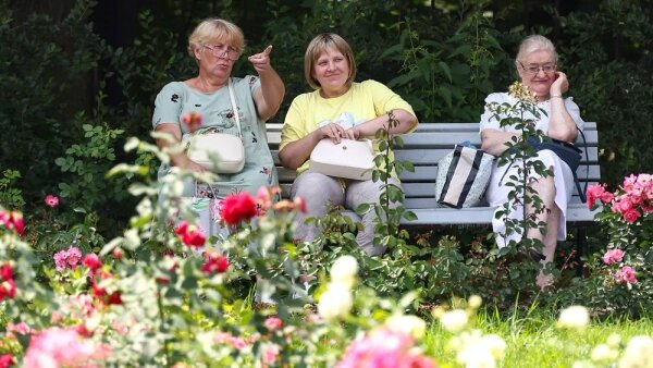 Юристы рассказали, когда повысят пенсии и на сколько. Обложка © ТАСС / Артём Геодакян