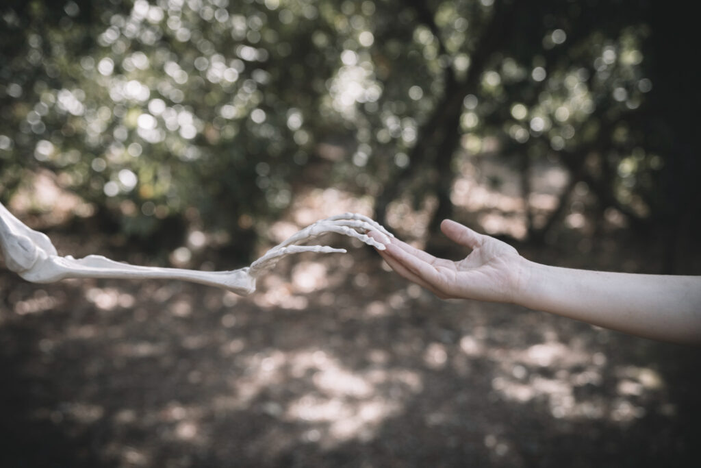    Изображение от freepik