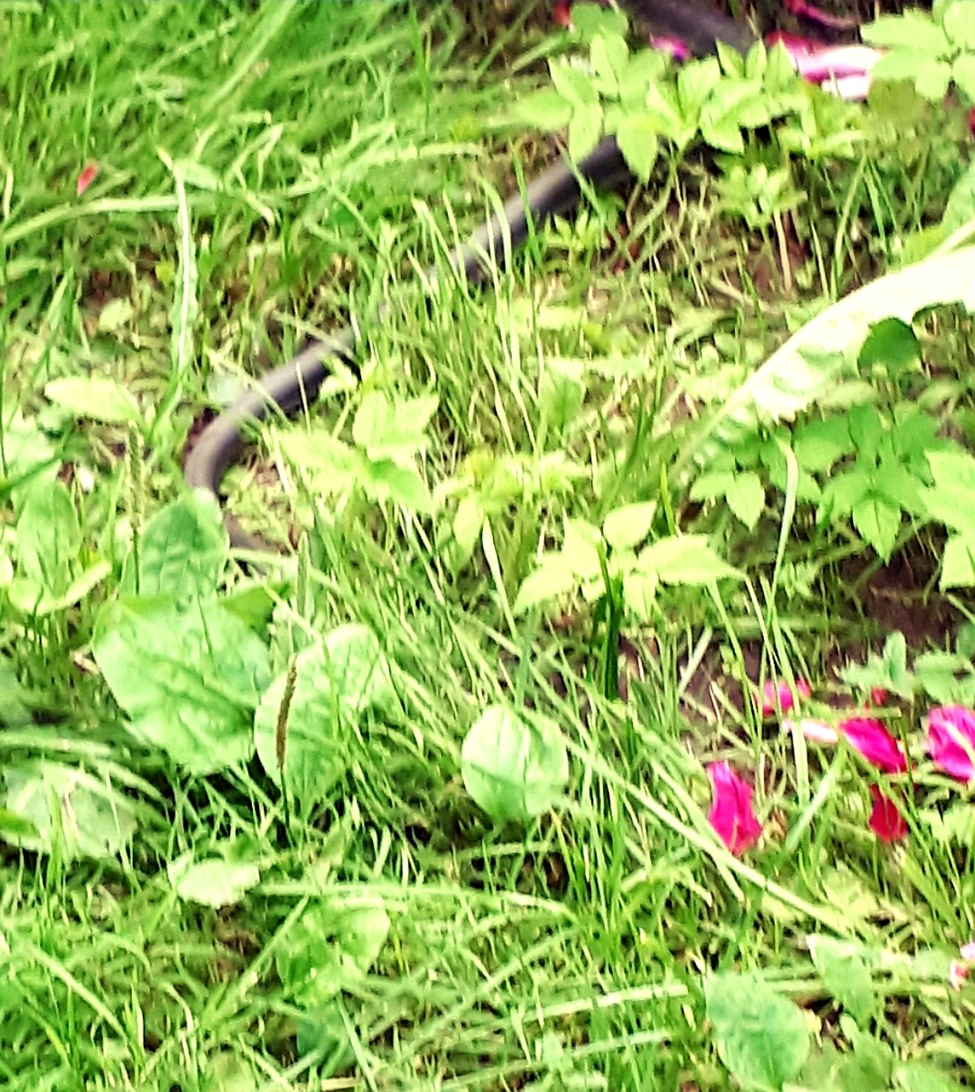 Фото автора статьи