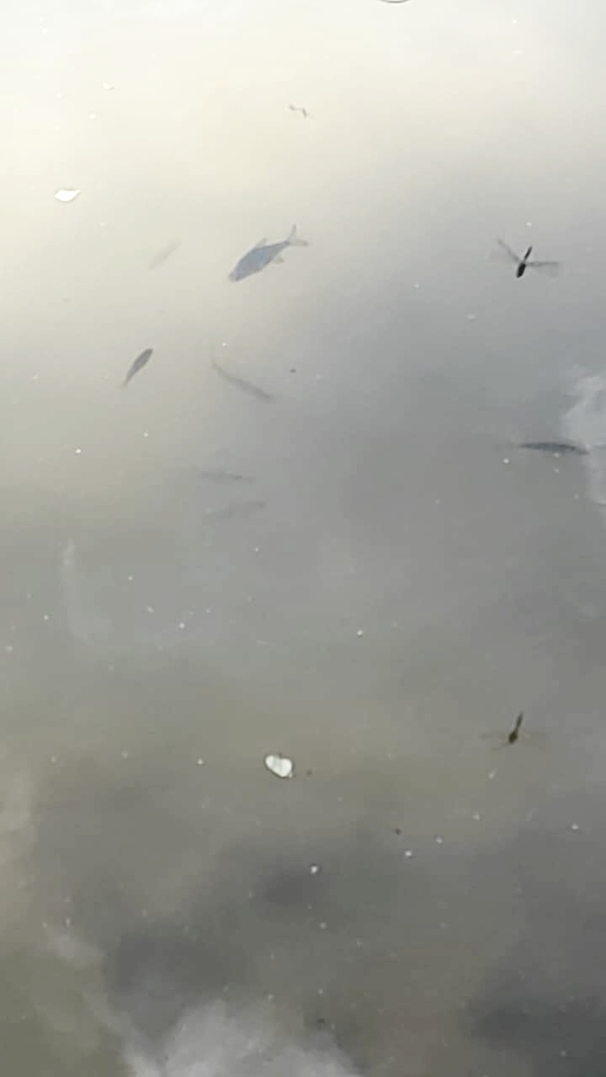 Фото друзей)