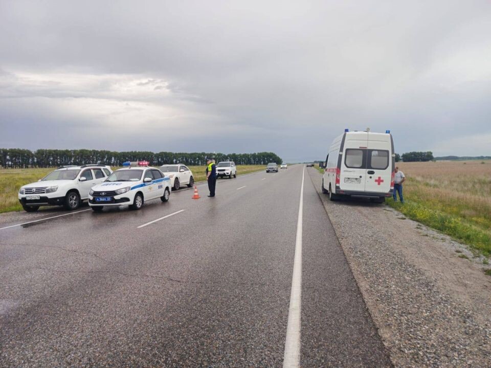   ДТП в Шипуновском районе. Источник: ГУ МВД по Алтайскому краю