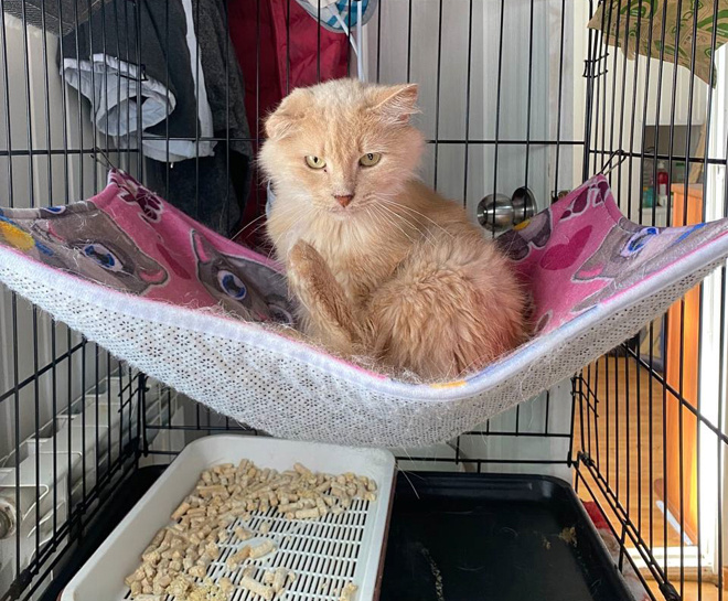 
«А что это вы меня фотографируете?»