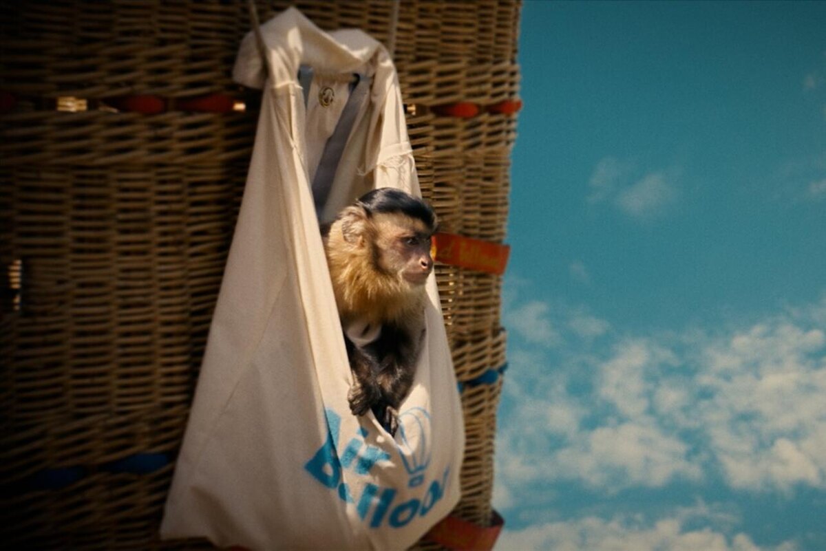    Фильм «Побег из зоопарка» Предоставлено Пресс-службой