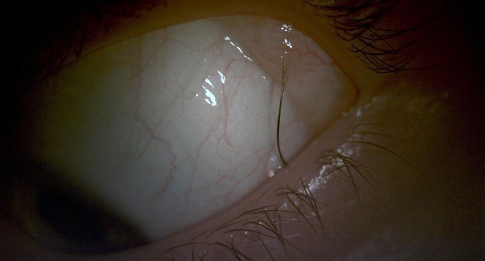    Министерство здравоохранения МО