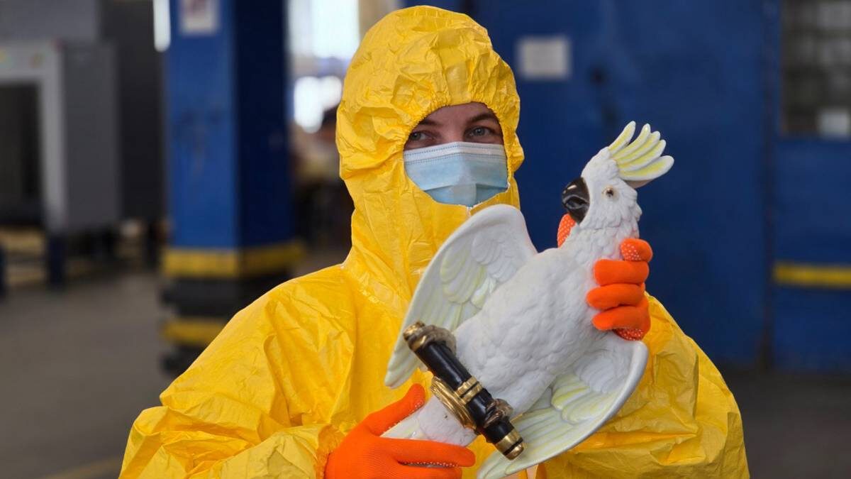    Фото: Пресс-служба ФТС России