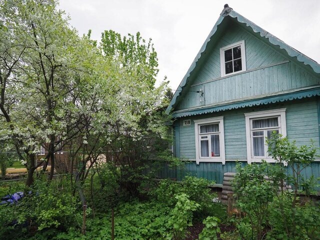    Фото: портал мэра и правительства Москвы/Евгений Самарин