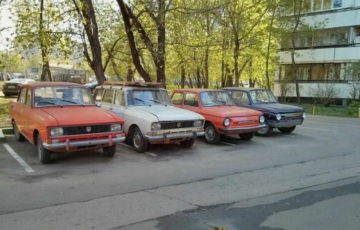 Фото: скриншот