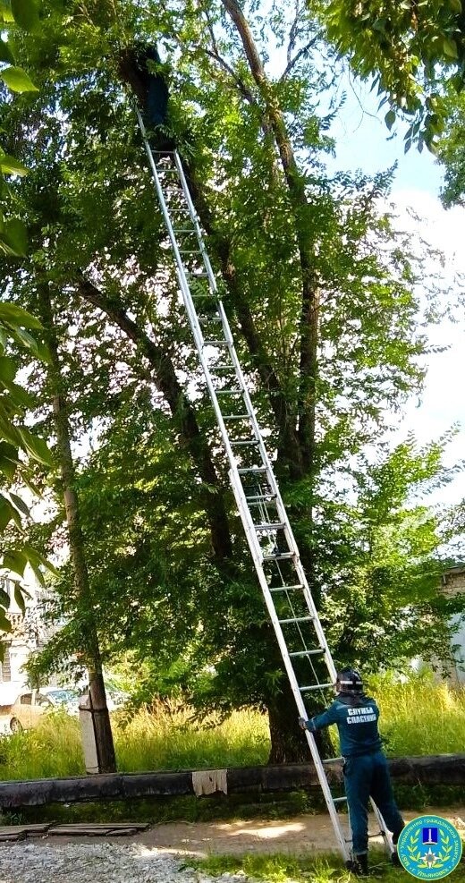    Фото: Управление гражданской защиты г. Ульяновска