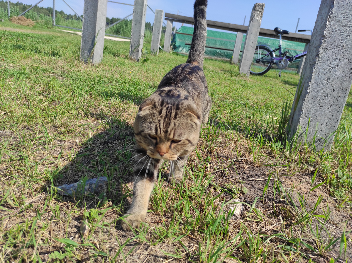 На встречу приключениям)