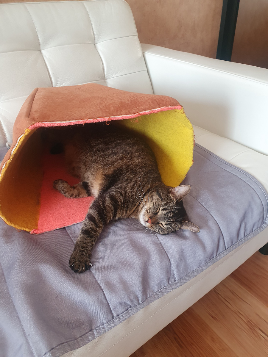 Обшитая флисом коробка, в которой Рокси любит спать и прятаться во время игр