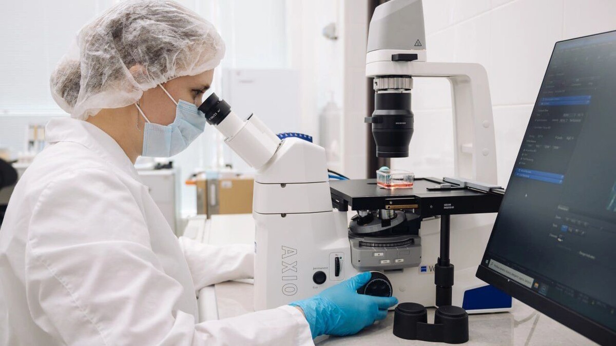     Источник: СКФУ