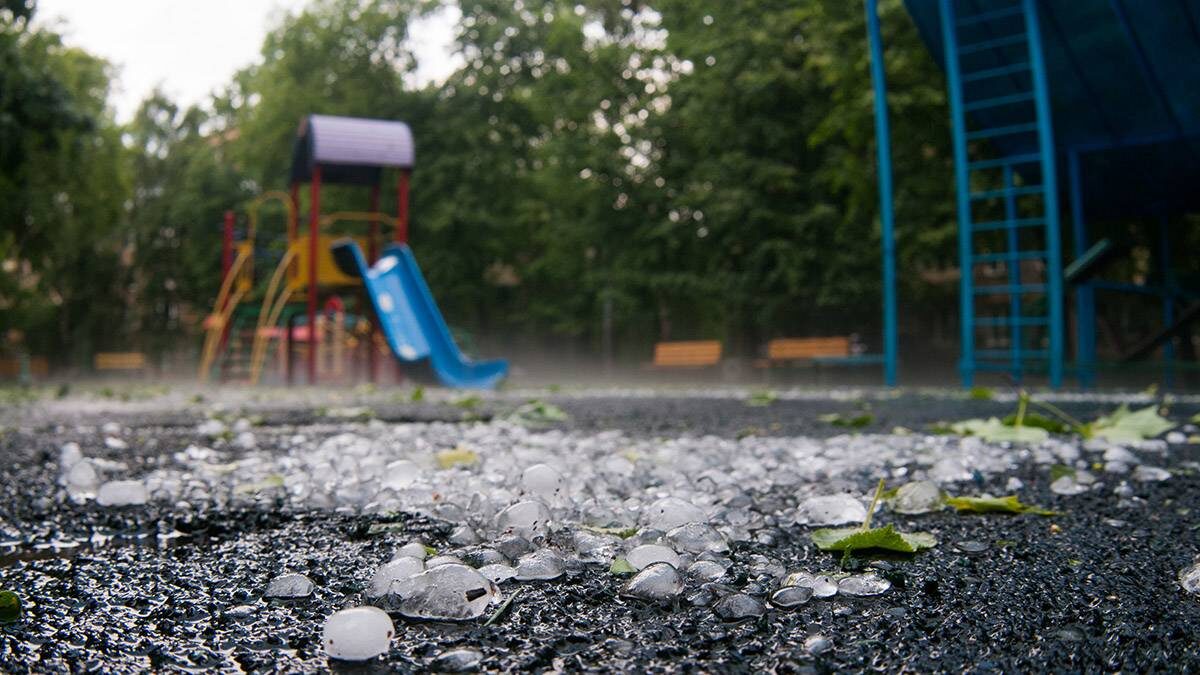    Фото: Shutterstock