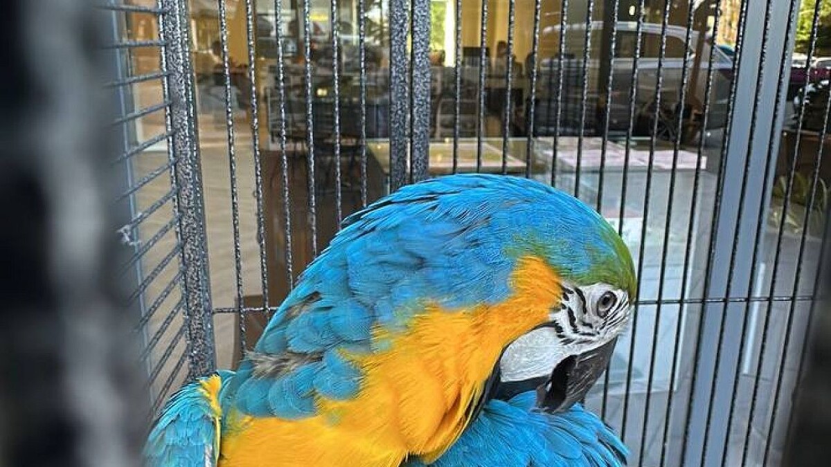    Фото: телеканал «Краснодар»