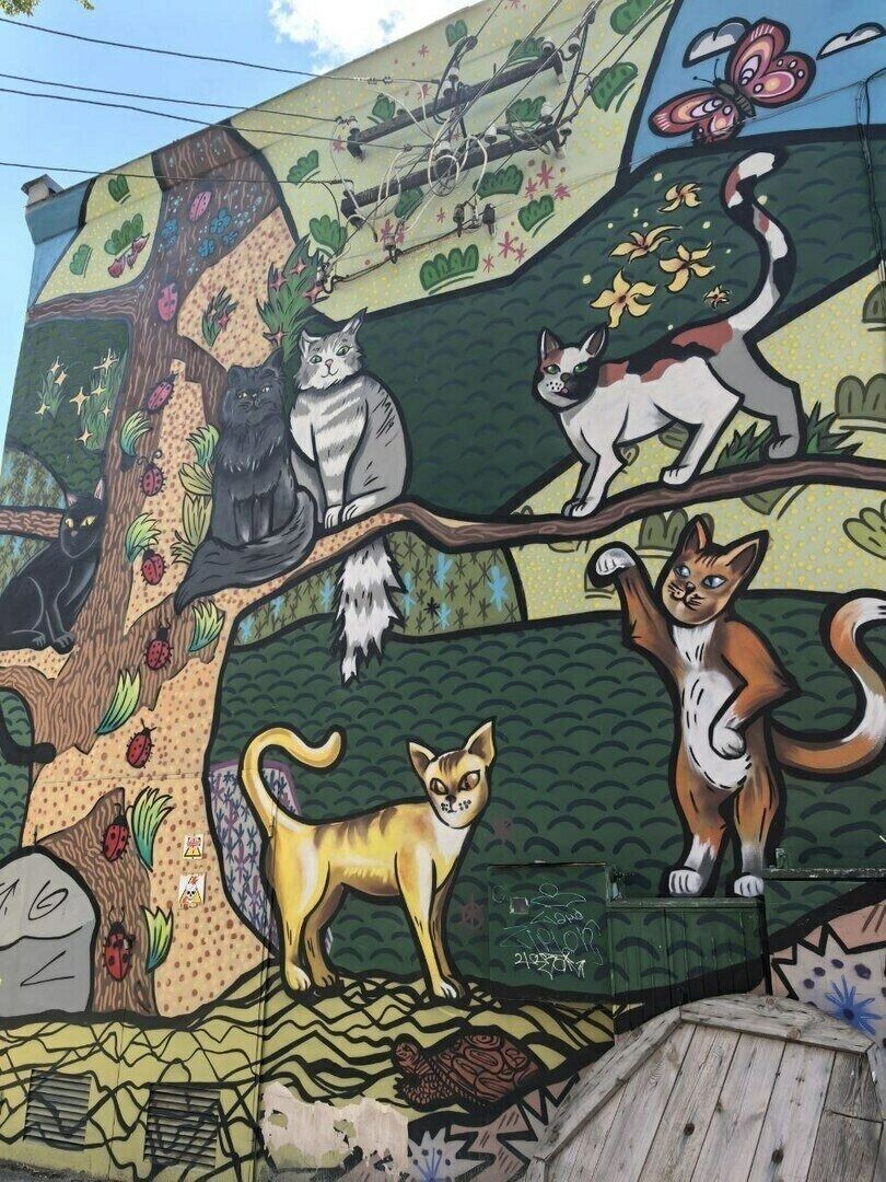     Автор: Наталья Заздравных Источник: klops.ru