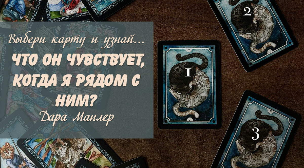 Я, Дара Манлер - мастер Таро и Рун, автор книг. Я рада видеть тебя на своем канале. Мы будем делать с тобой интересные расклады, которые будут исцелять твою жизнь и помогать видеть в ней свет новых возможностей.