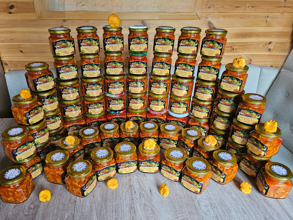 Фото Анны Пшеницыной. 08.07.25 .Почему не звоню?Почему не отвечаю сразу на смс? Ответ на фото 👆
Р.С. надеюсь, этих заготовок нам хватит хотя-бы до зимы 🤪🤪🤪