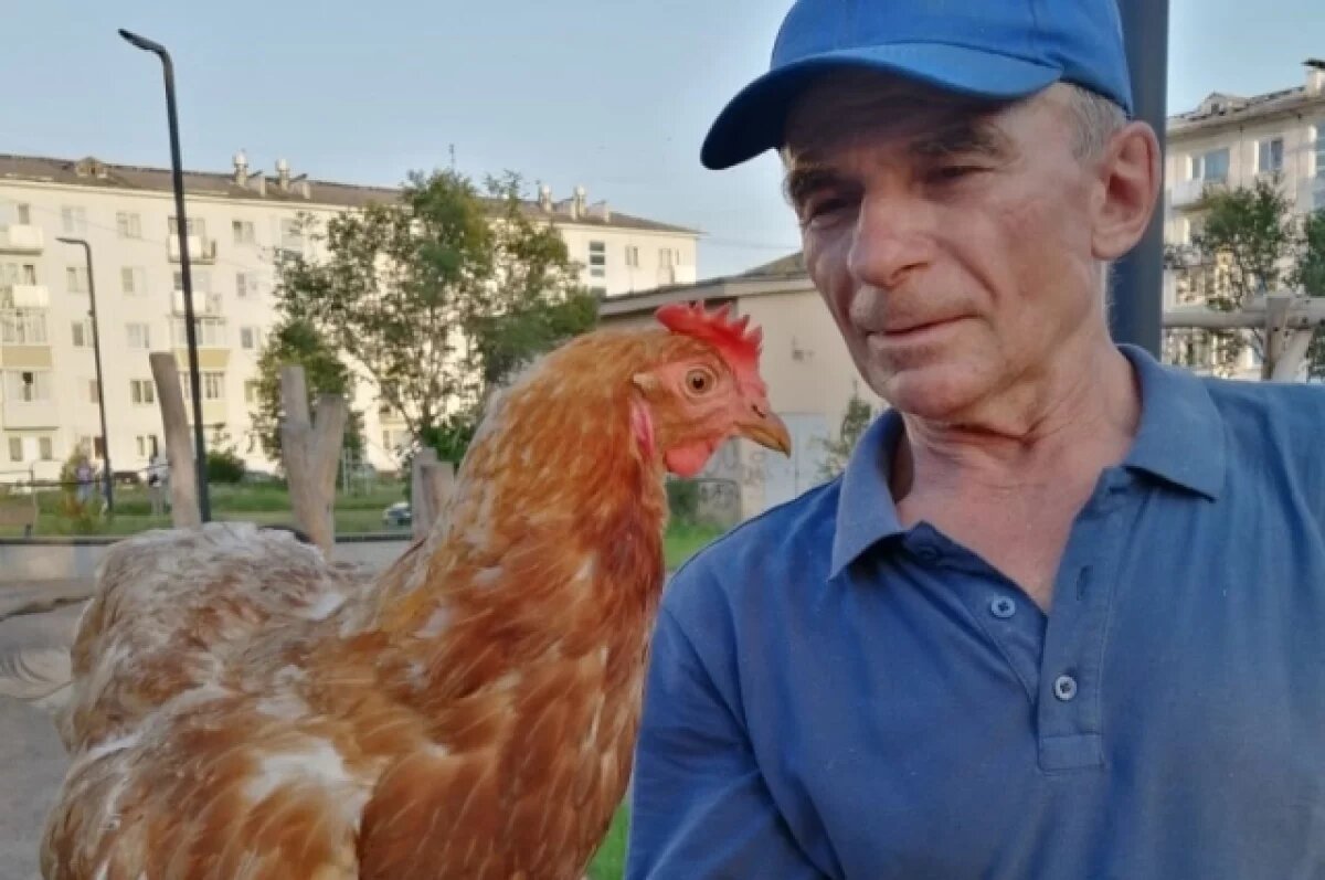    Тверичан предупредили, что животные могут заразить их опасными болезнями