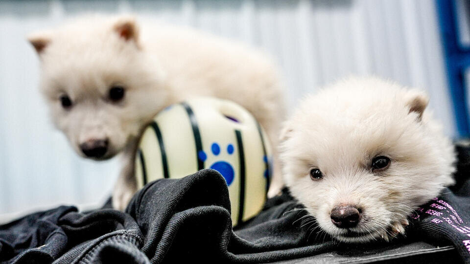 Фото: © Zuma/TASS