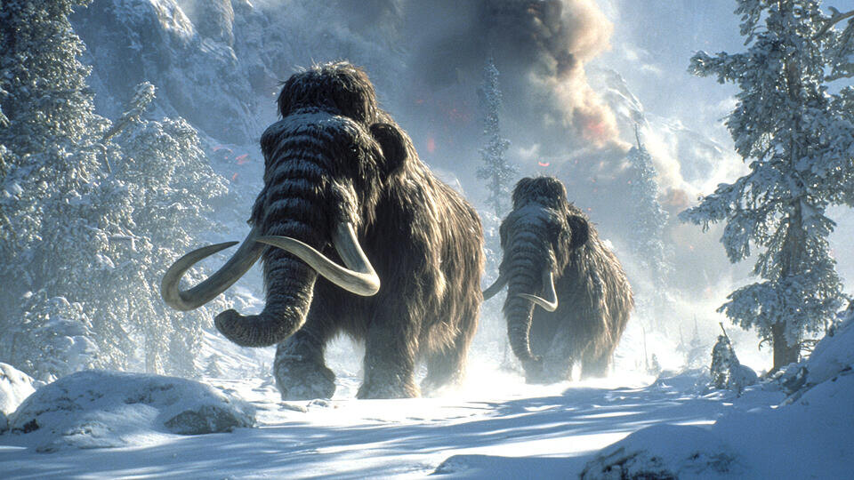 Фото: © РЕН ТВ