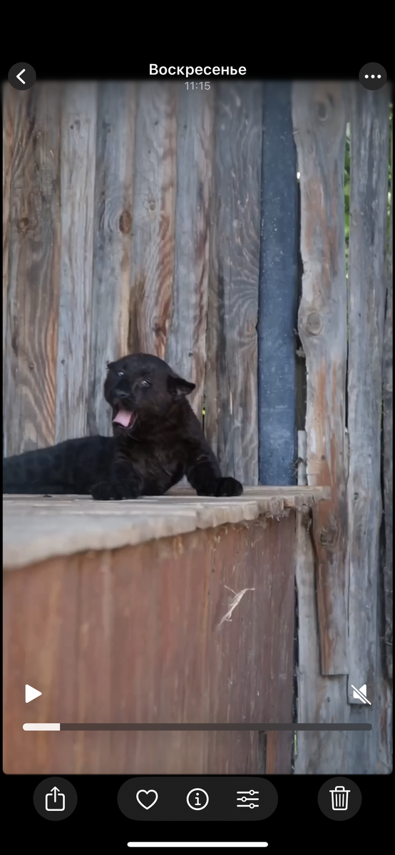 Жалко расставаться с малышом