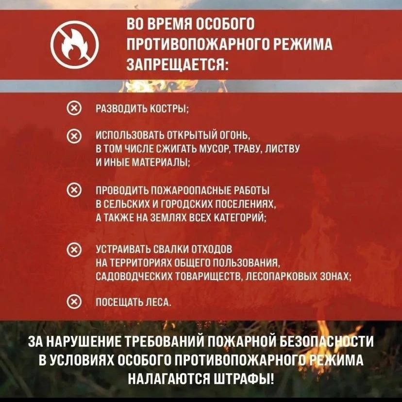 фото: Telegram/Сочи Официальный  📷
