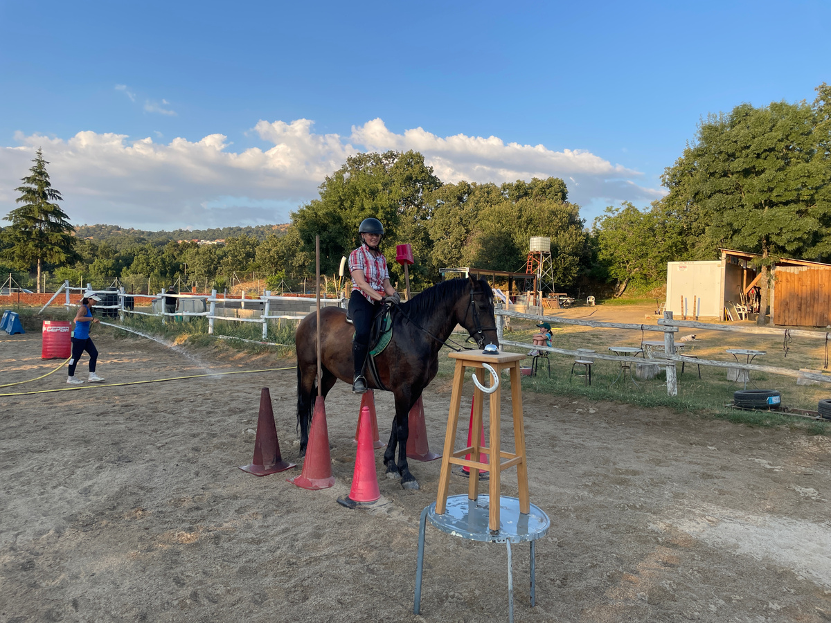 Нужно зайти между конусами (узкое замкнутое пространство), остановить лошадь и переложить предмет с одной палки на другую