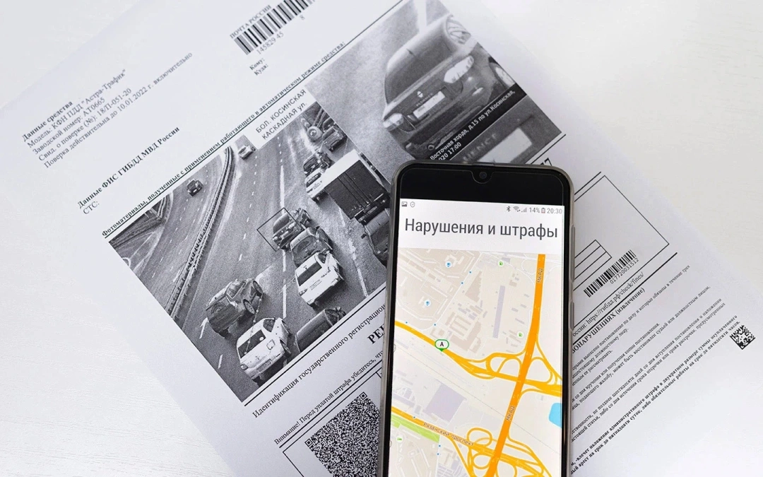 Фото:  igorykor / Shutterstock / FOTODOM
