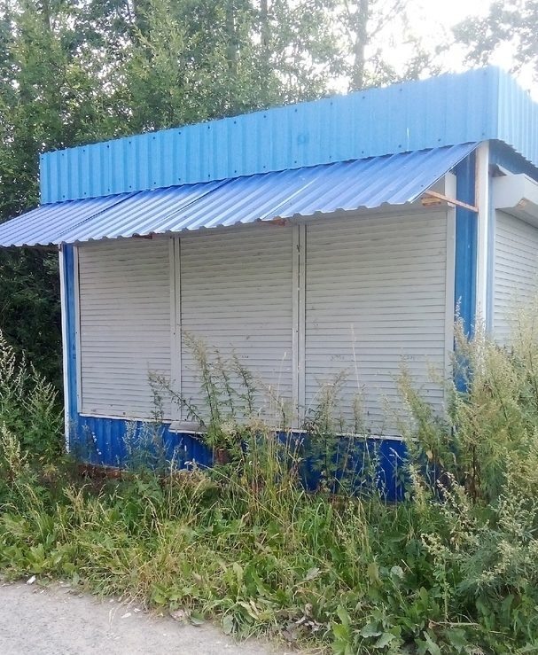    Фото: СОЛЕНЫЙ ПЕС