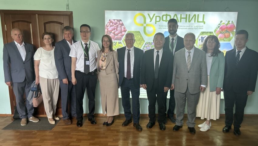     Уникальную коллекцию с более 600 сортами картофеля УрФАНИЦ УрО РАН продемонстрировали китайским коллегам
